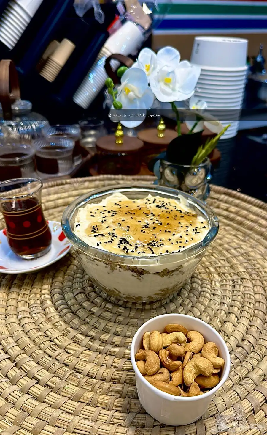 عريكة ومعصوب الديرة 5
