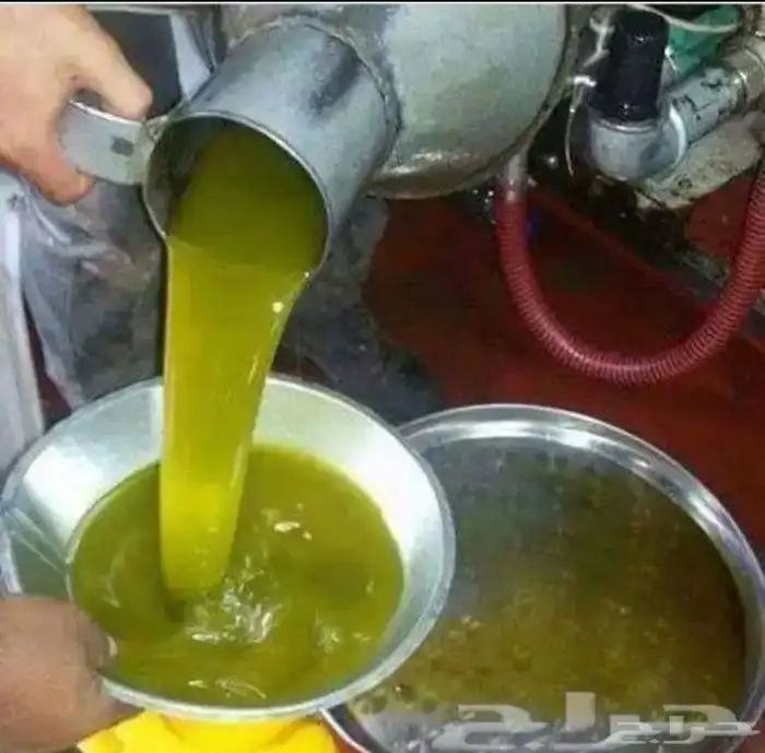 زيت زيتون الفلسطيني بعل عالأمطار شحن لجميع مناطق المملكه 13