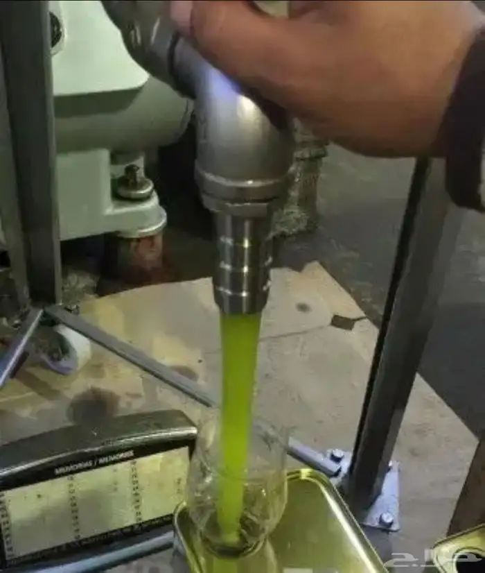 زيت زيتون الفلسطيني بعل عالأمطار شحن لجميع مناطق المملكه 7