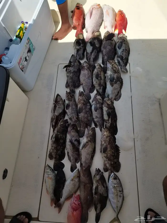 رحلات صيد من افضل الأماكن 7