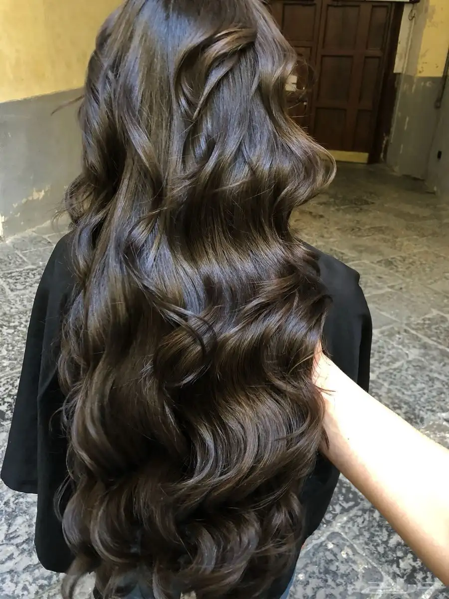شامبو السدر مع حليب الإبل طبيعي 100 1