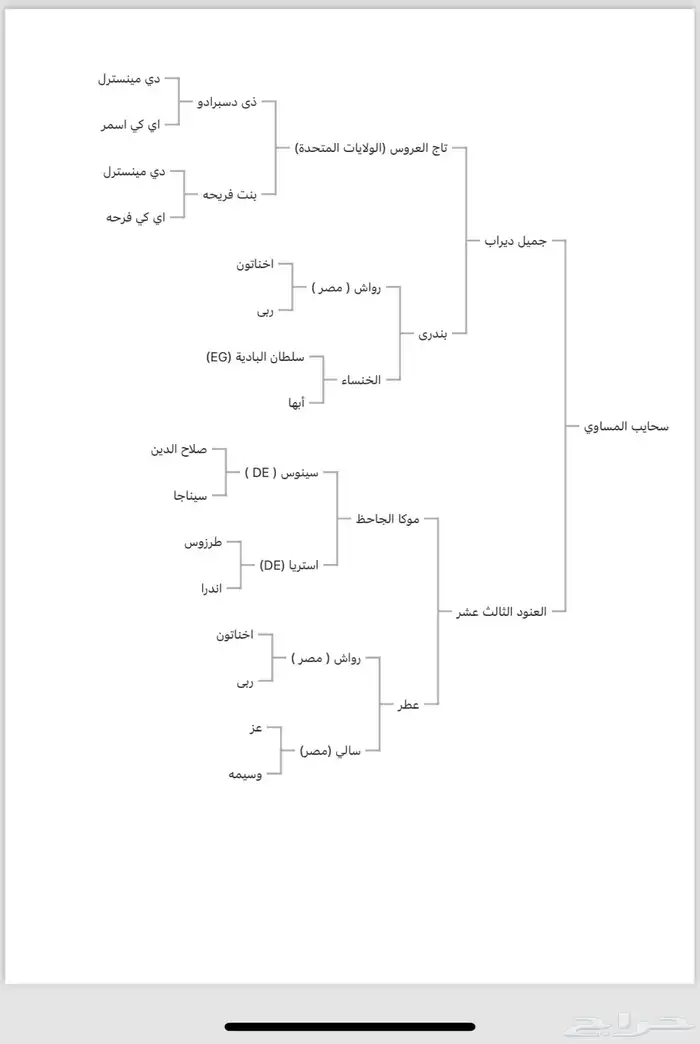 فرس واهو للبيع 5
