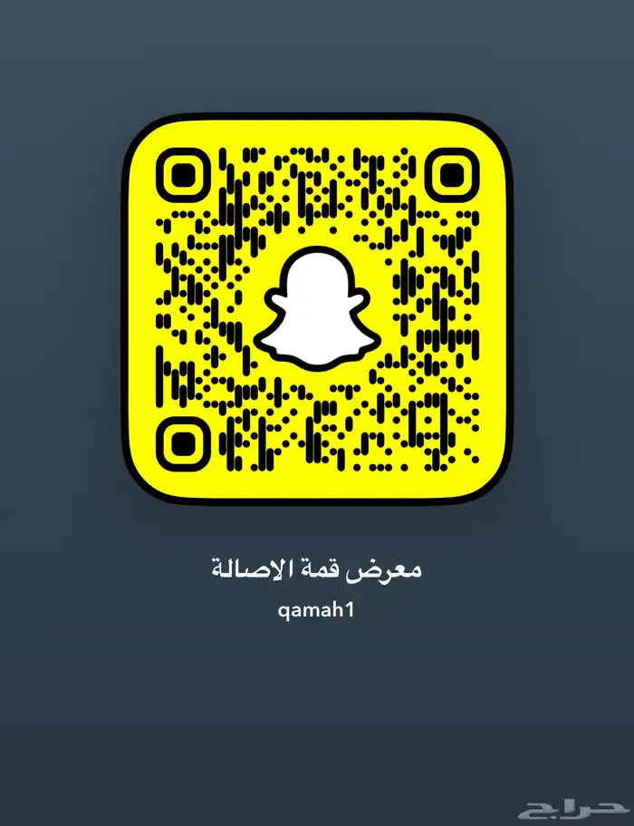 ميتسوبيشي مونتيرو 2019 10