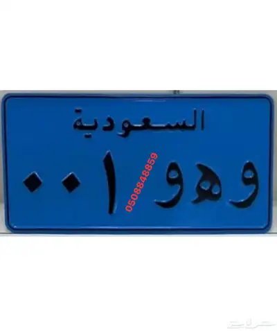 لوحه مميزه رقم 2 0