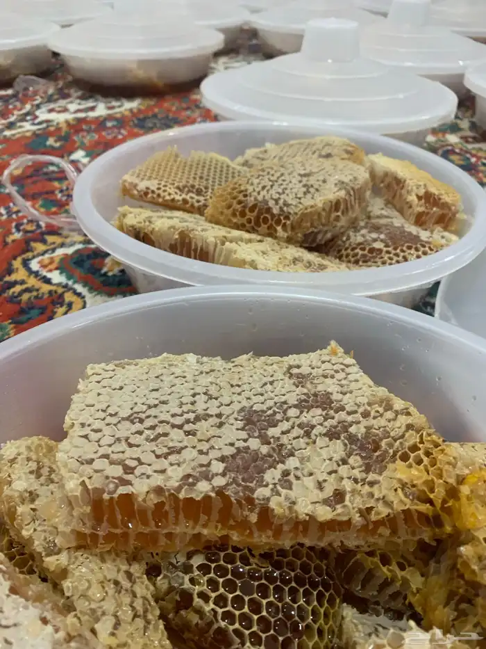 عسل سدر مضمون على الشرط 1