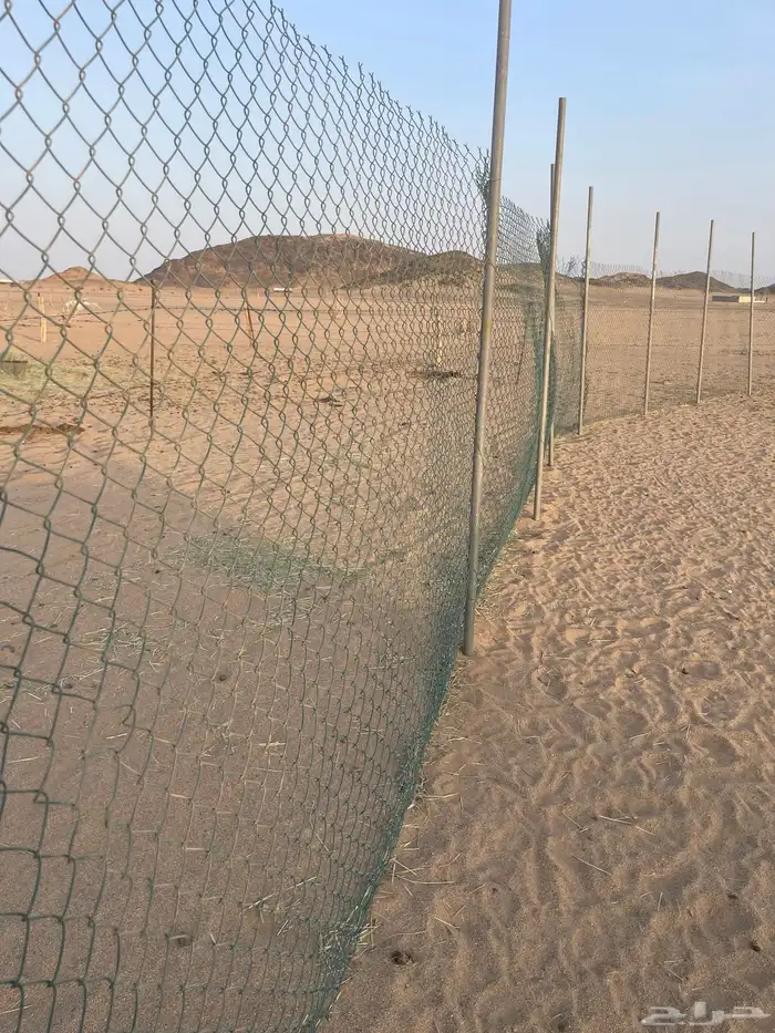 شبوك للبيع 0