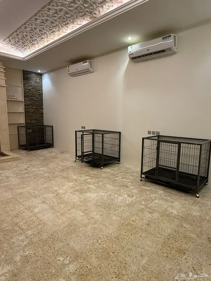 فندقة كلاب وقطط 1