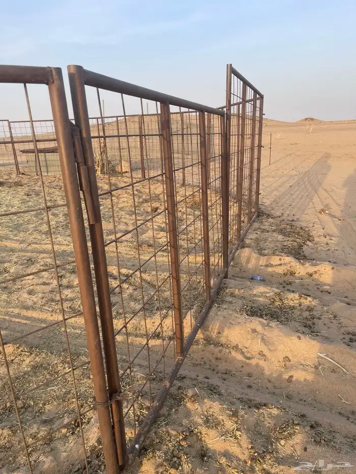 شبوك للبيع 4