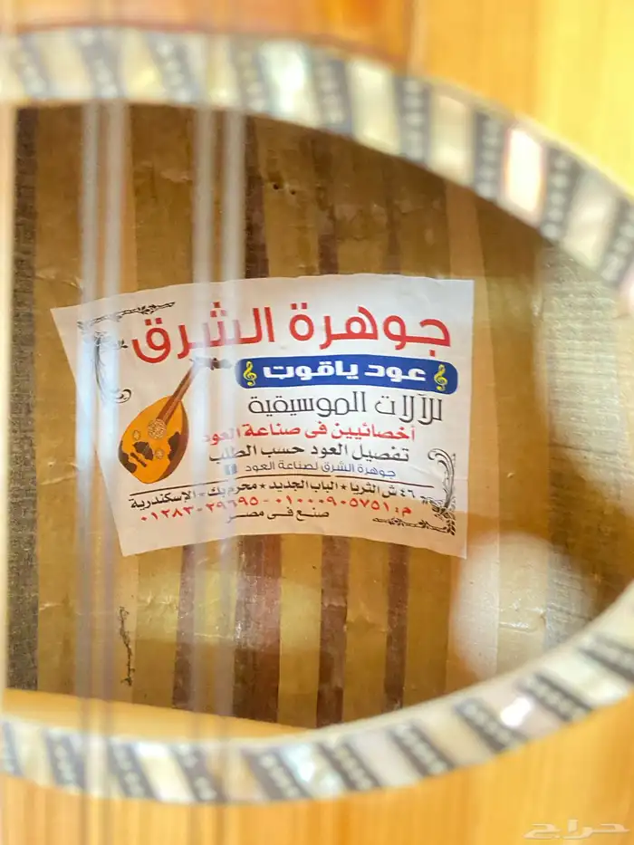 عود مصري نضيف 0