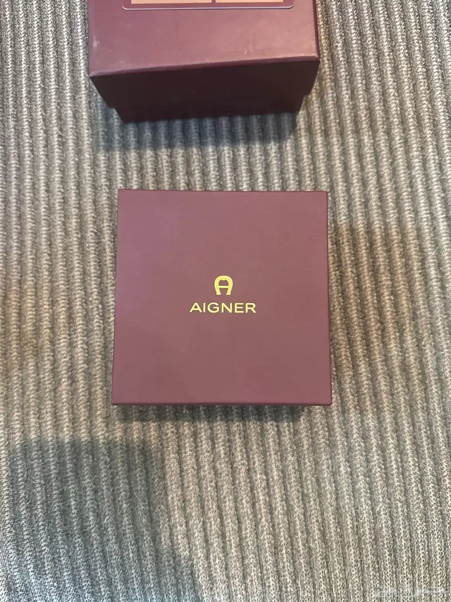 سواره اقنر AIGNER 2