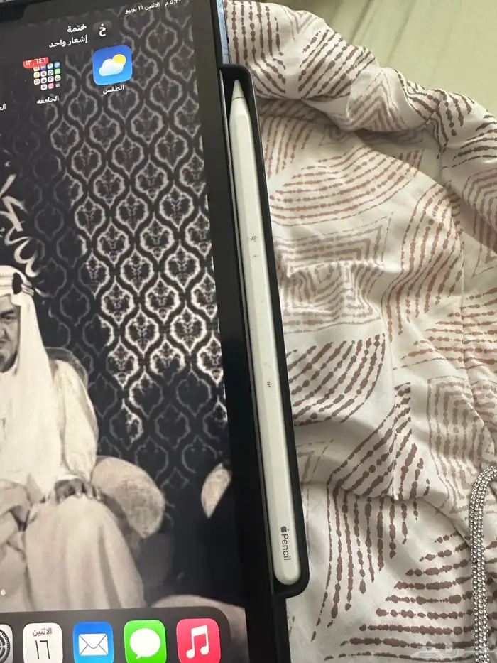 قلم آيباد من ابل الاصلي 0