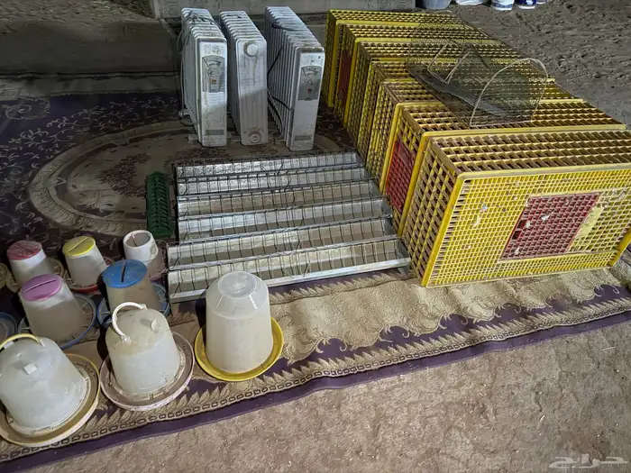 شبوك لنقل الطيور ومعالف حديد 2