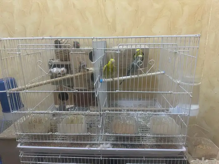 تم البيع 0