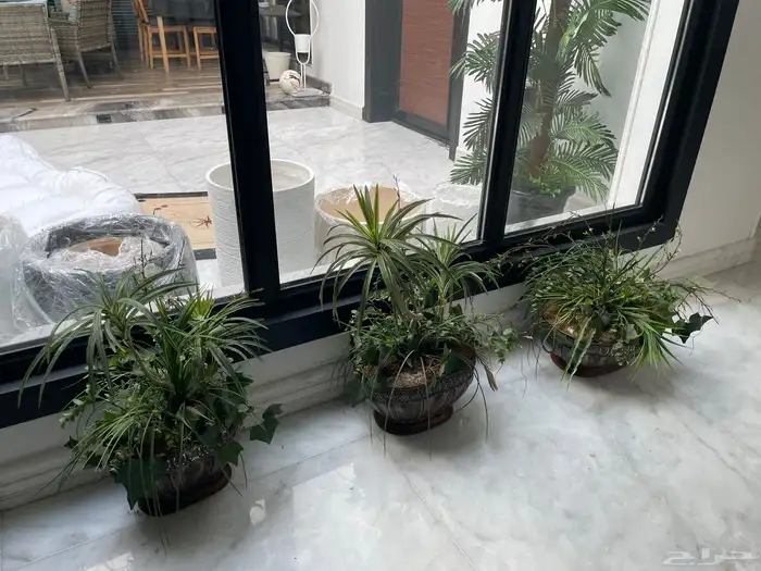 3 زرعات صناعي حجم كبير ووسط وصغير 6
