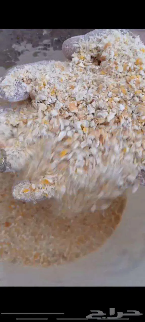 ذره مجروشه الخرج 3