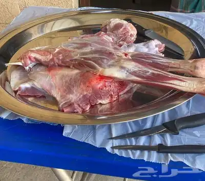 معلم مشويات عراقيه 3