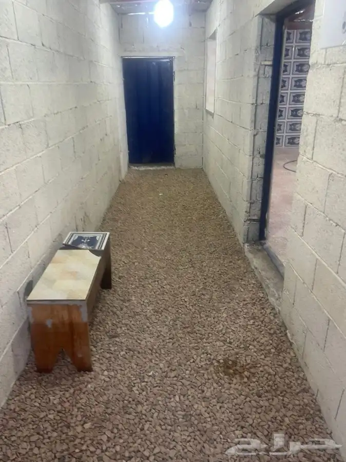 مسلخ دجاج   وبيع دجاج لاحام خلف هايبر بنده 2