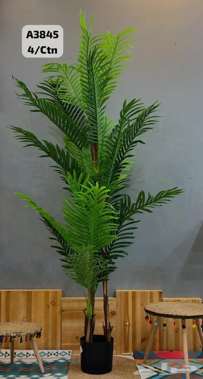 أشجار زيه 0