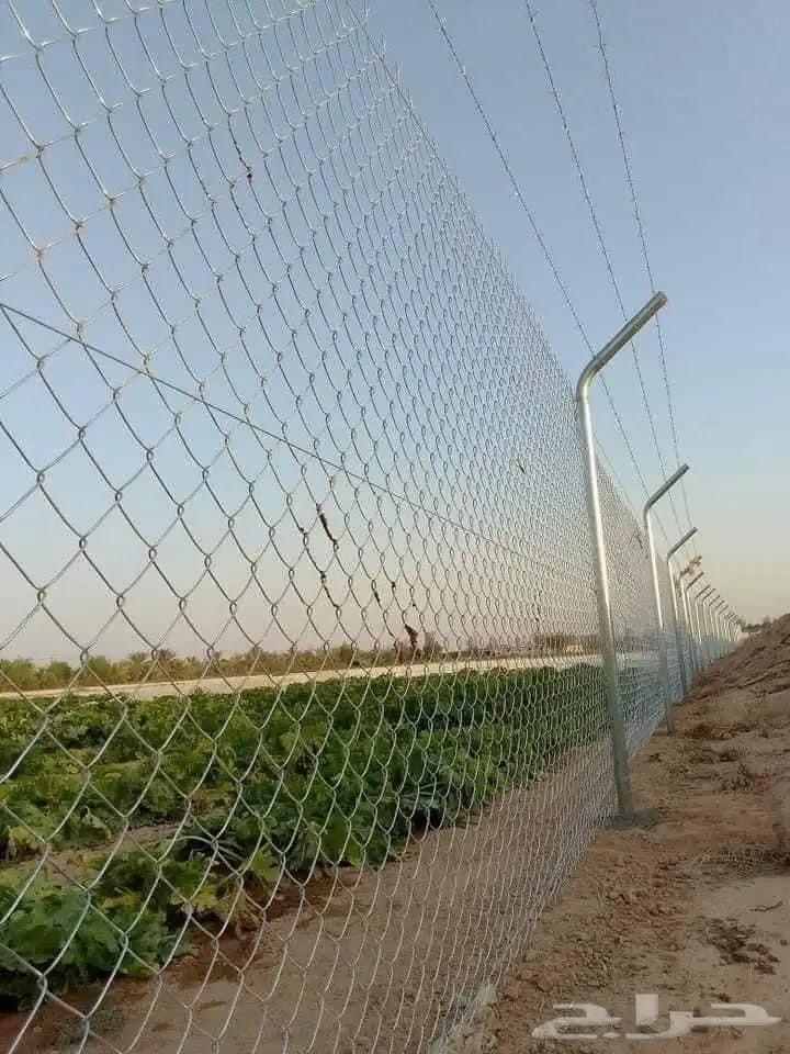 مقاول شبوك ومضلات وحجر 2