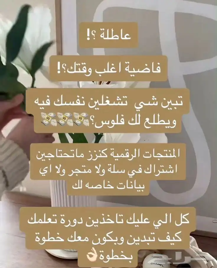 منتجات رقميه مربحه قابله لإعادة البيع 31