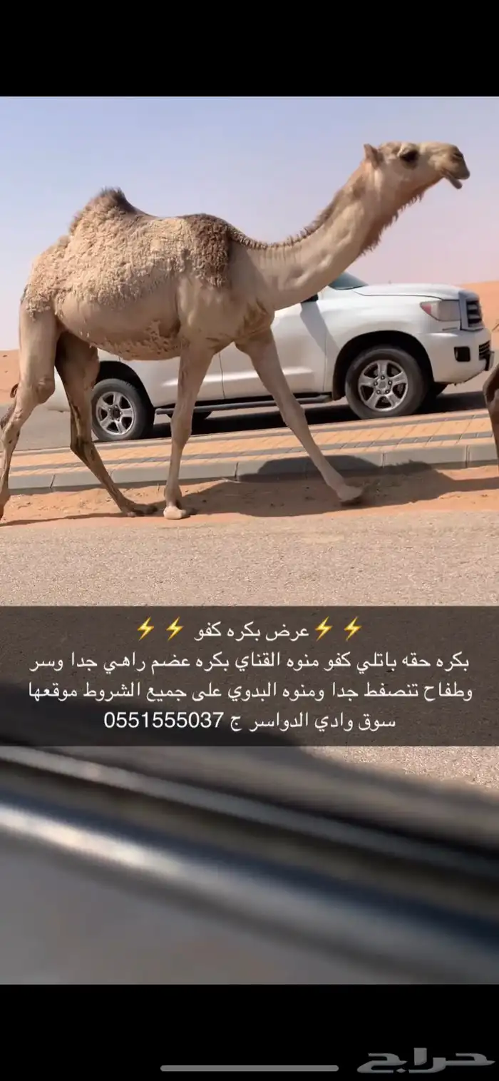 بكره حقه باتليه 1