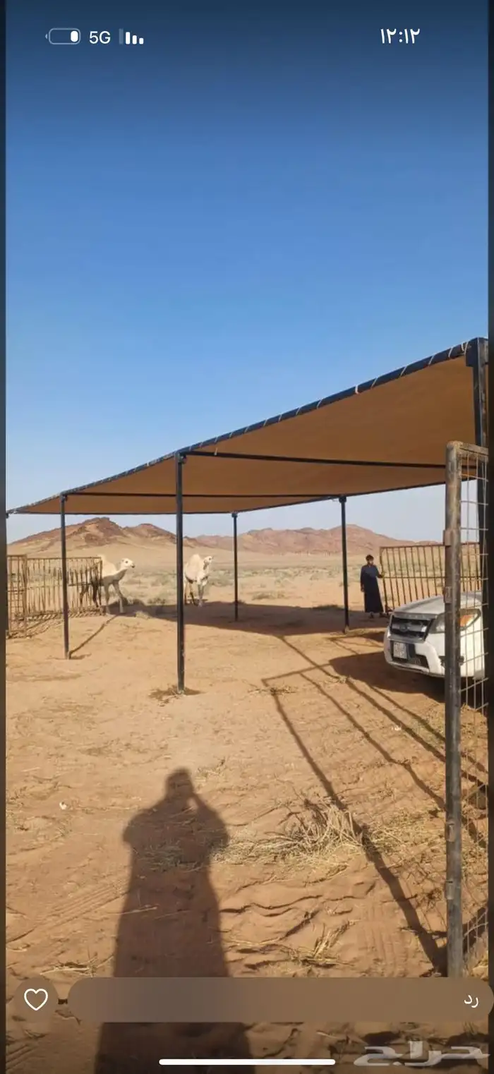مضلات الابل  المميزة قماش الجزيرة 0