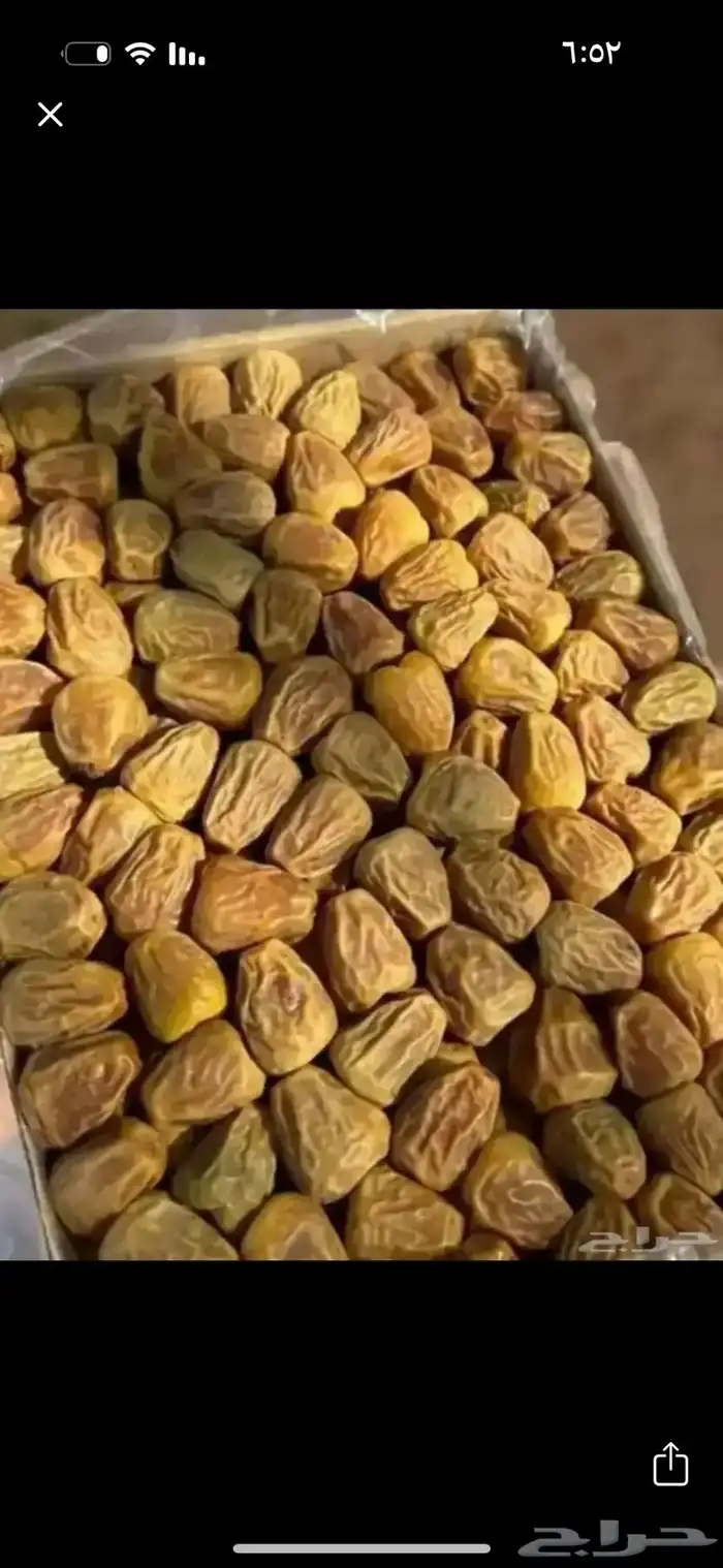 تمر سكري 0