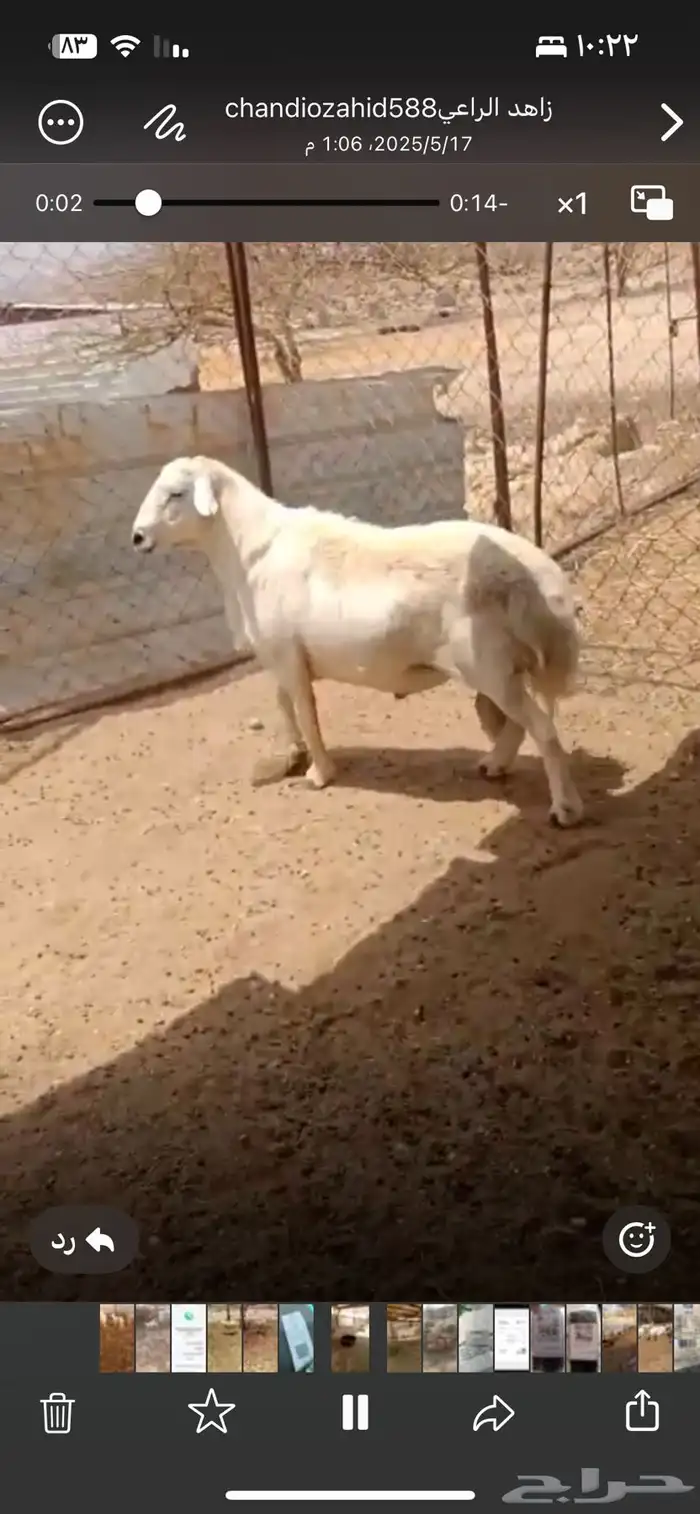 للبيع 0