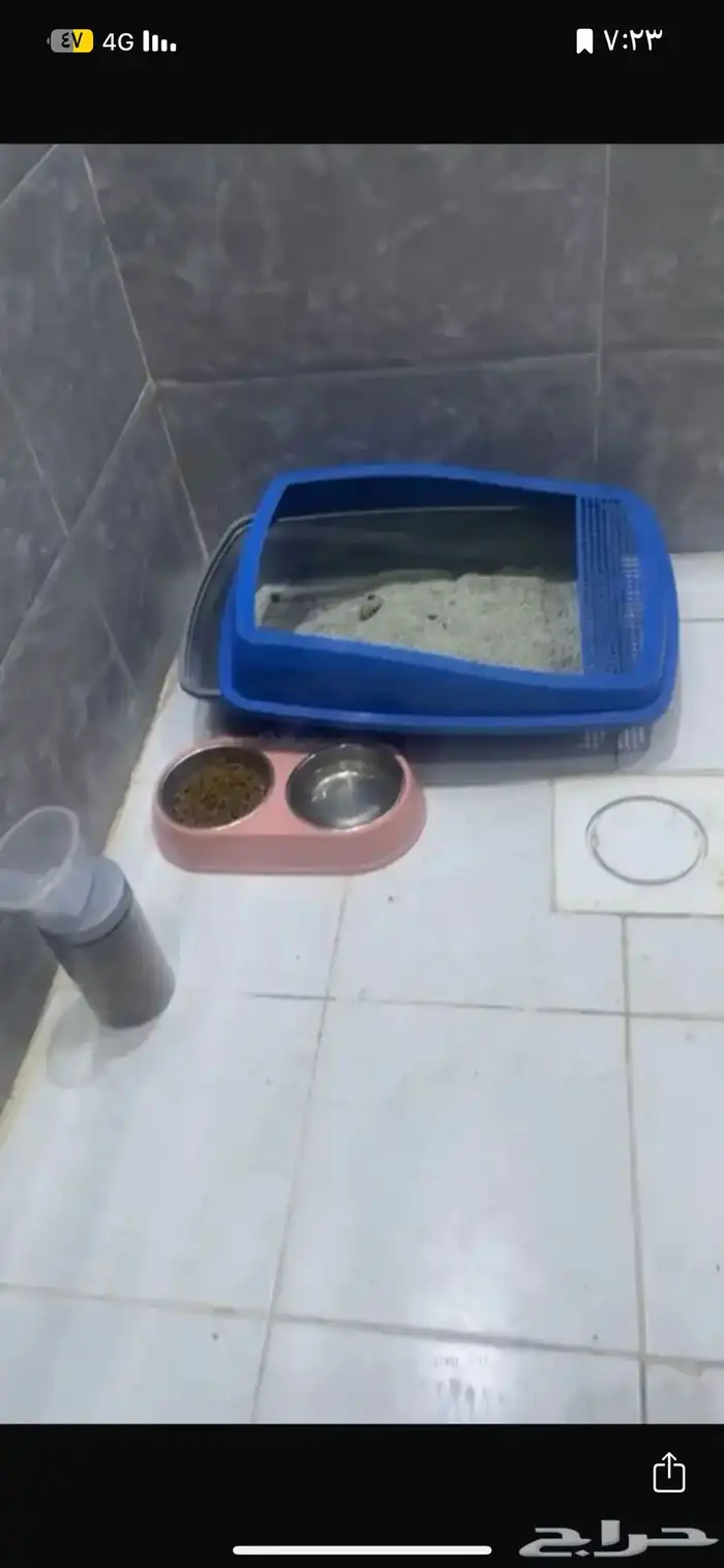 اغراض قطط للبيع 0