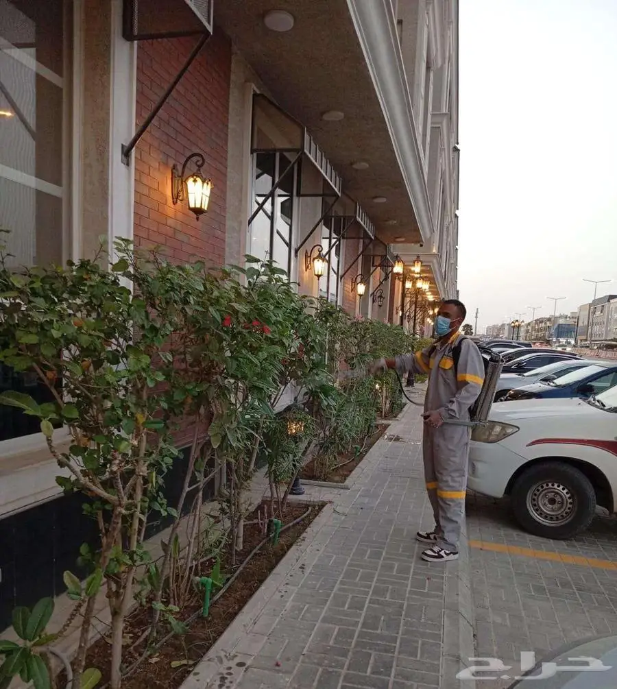 شركة الكفاءات لمكافحة الحشرات 38