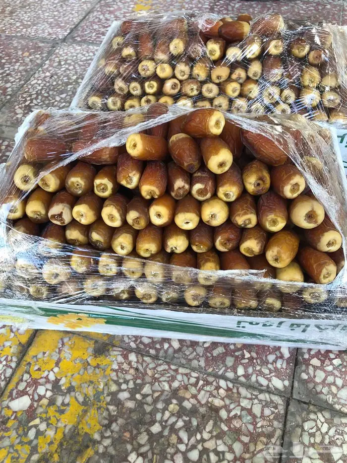 رطب 6