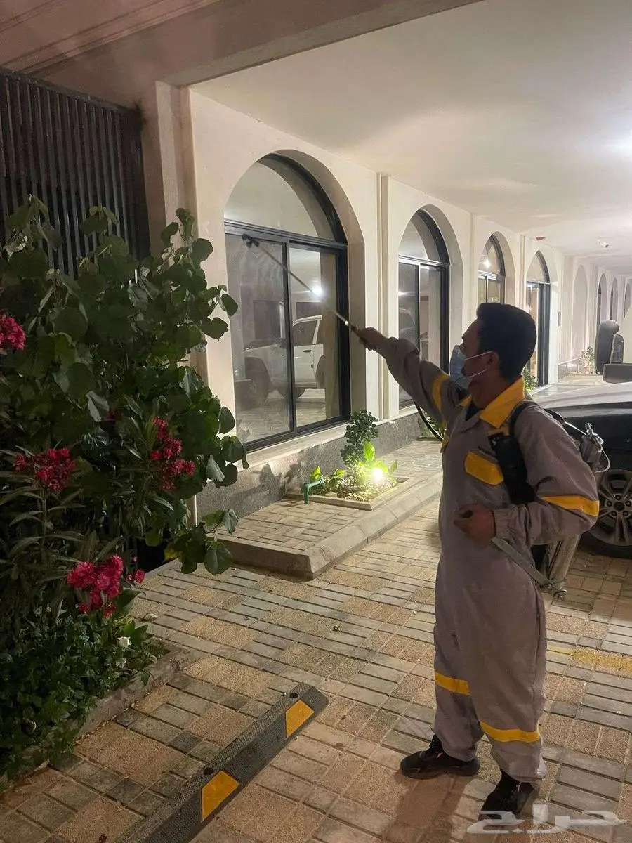شركة الكفاءات لمكافحة الحشرات 27