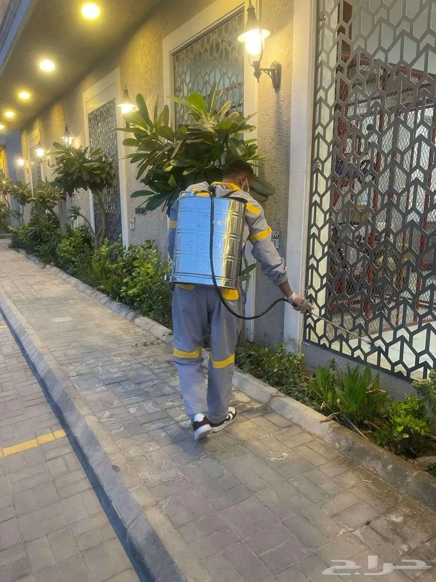 شركة الكفاءات لمكافحة الحشرات 20