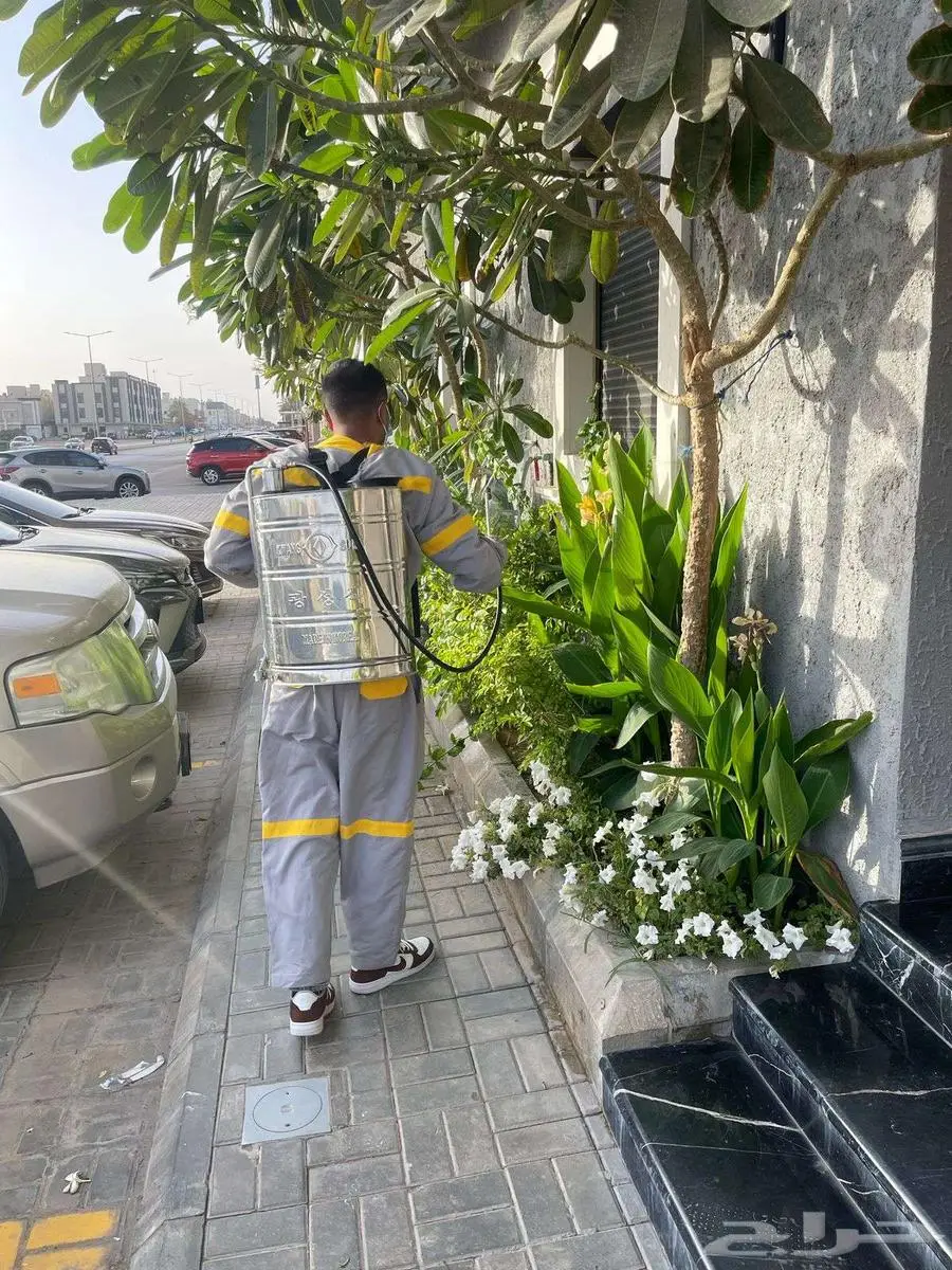 شركة الكفاءات لمكافحة الحشرات 32