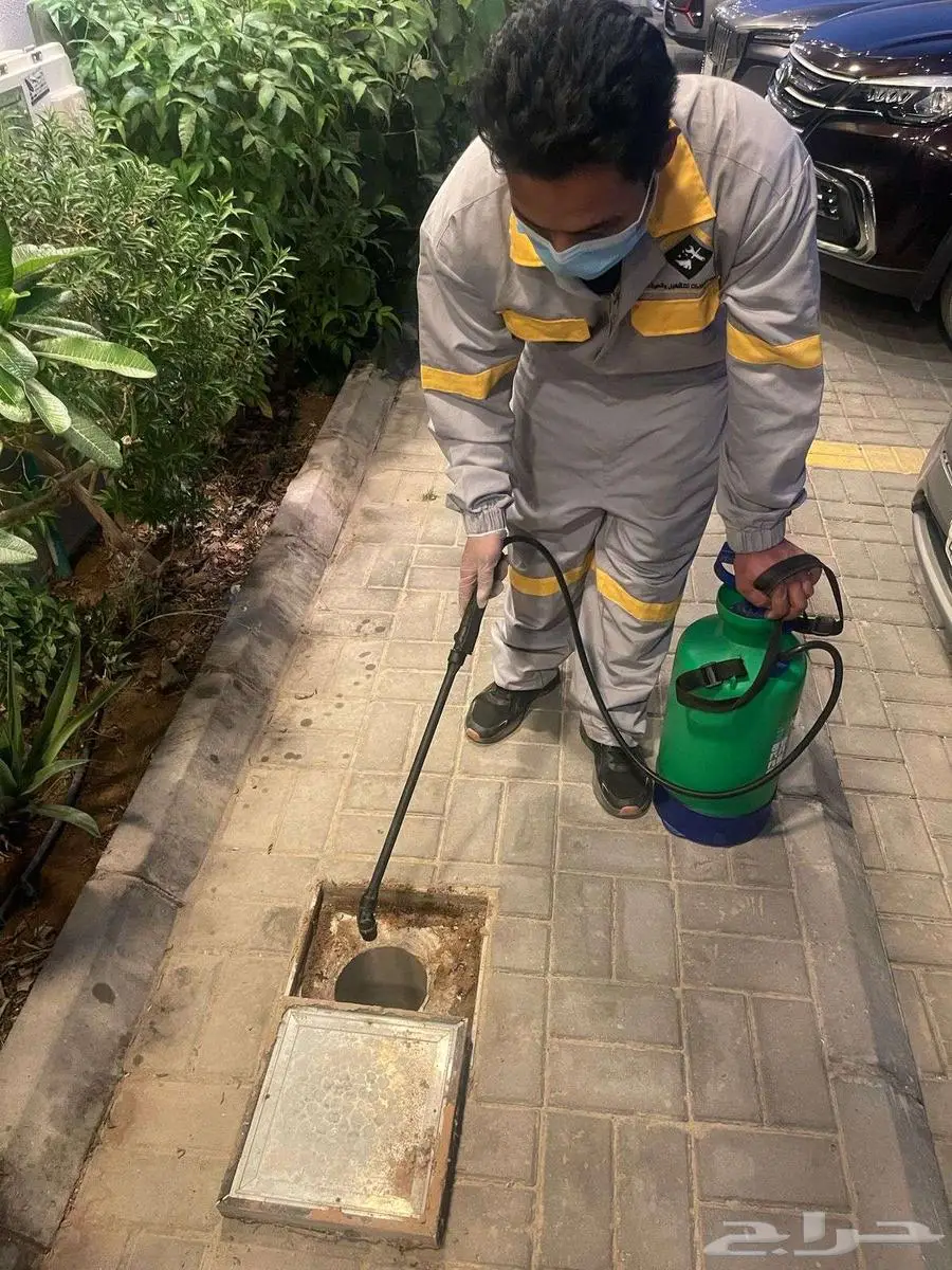 شركة الكفاءات لمكافحة الحشرات 19