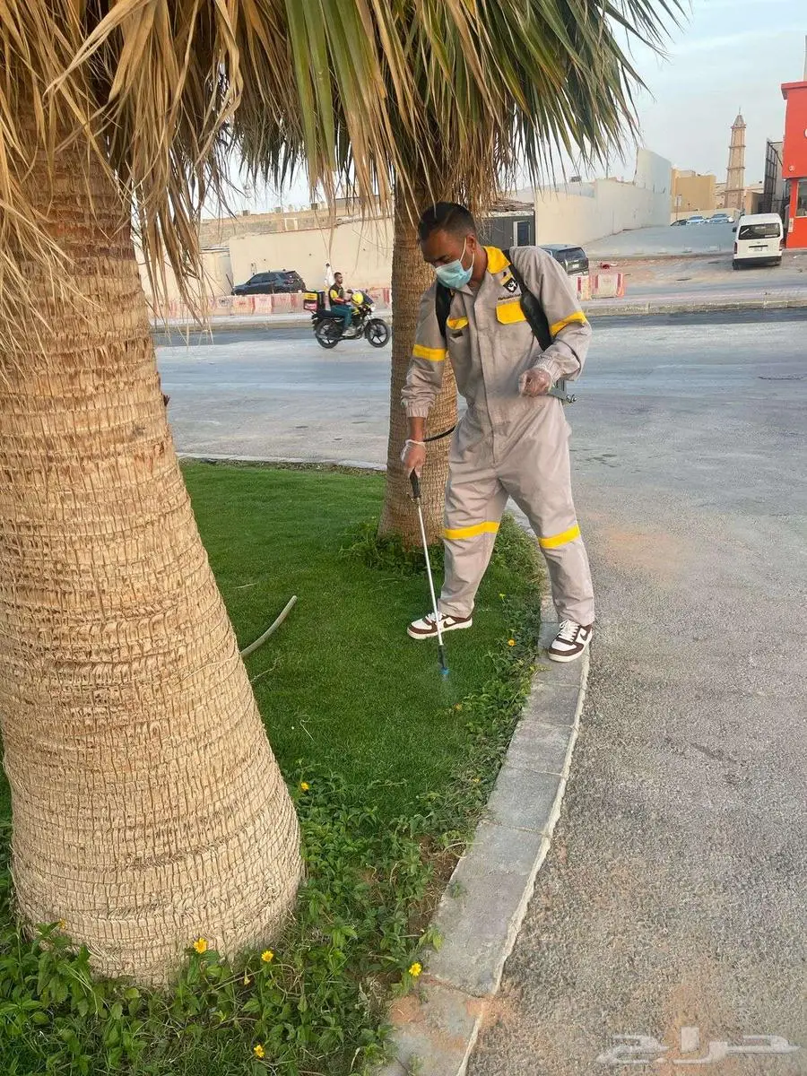 شركة الكفاءات لمكافحة الحشرات 33