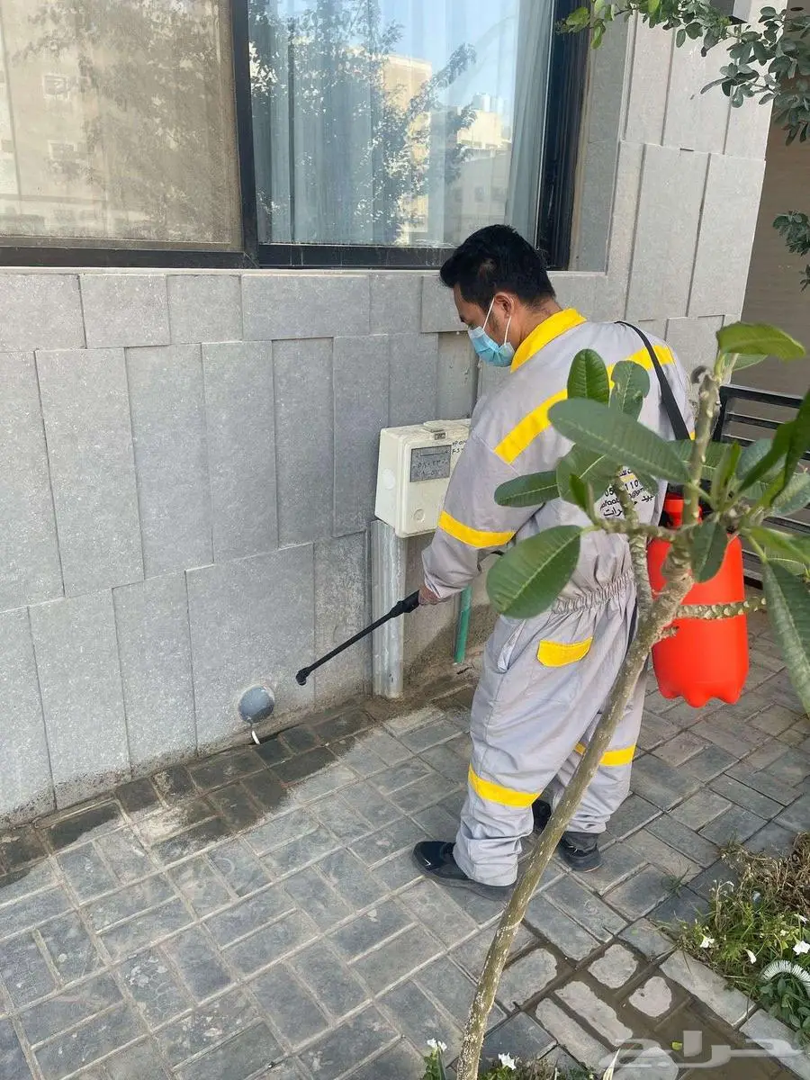 شركة الكفاءات لمكافحة الحشرات 26