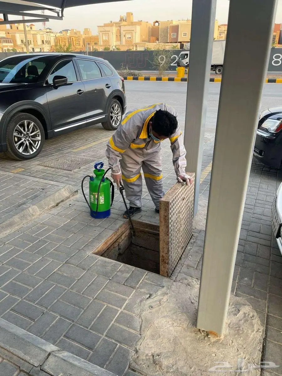 شركة الكفاءات لمكافحة الحشرات 22