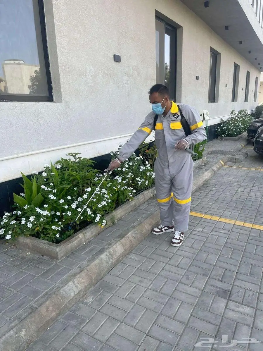 شركة الكفاءات لمكافحة الحشرات 29