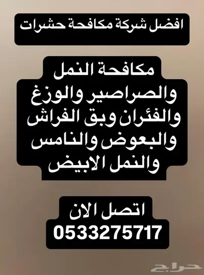 شركة مكافحة حشرات بالدمام رش مبيدات بخ حشرات مكافحة النمل 0