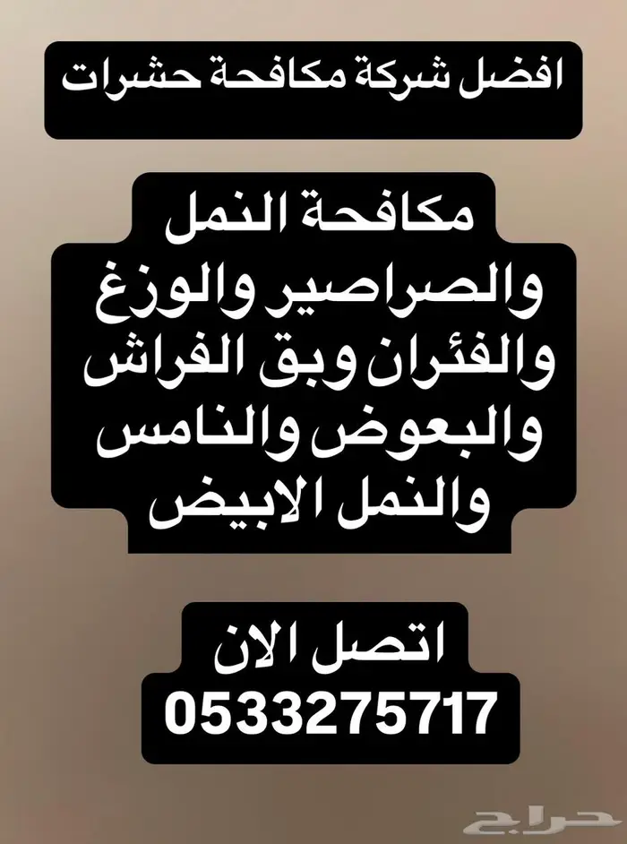 شركة مكافحة حشرات بالدمام رش مبيدات بخ حشرات مكافحة النمل 0