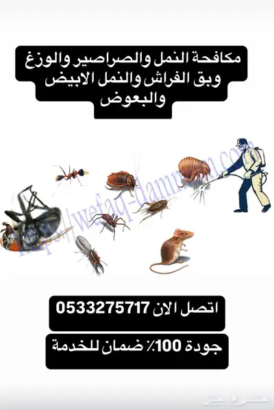 شركة مكافحة حشرات بالدمام رش مبيدات بخ حشرات مكافحة النمل 1