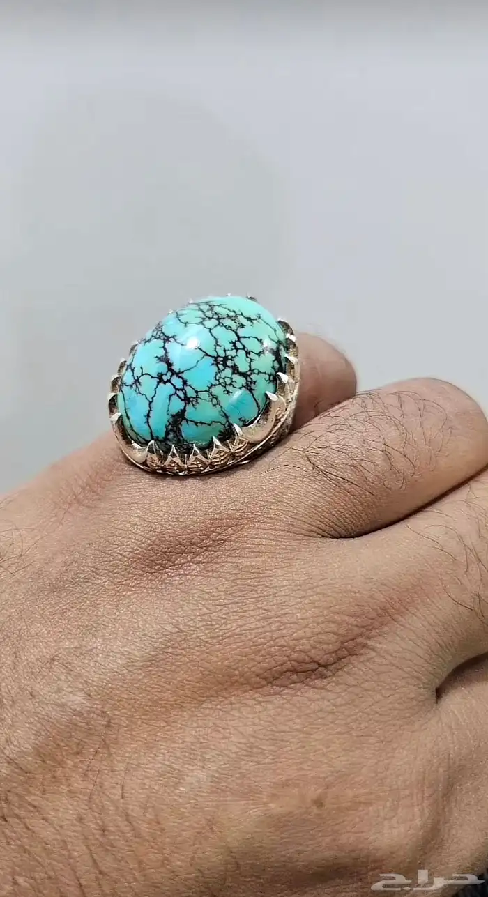 فيروز سيناوي 1