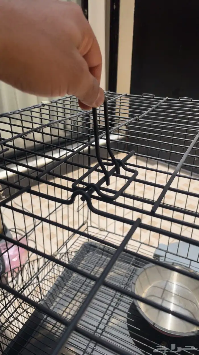 شبك حيوانات اليفه 3