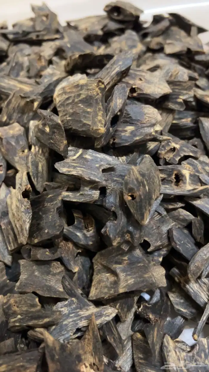 عود كينام اندرووتر مميز وفاخر بخور غطاس تحت الماء نوادر 0