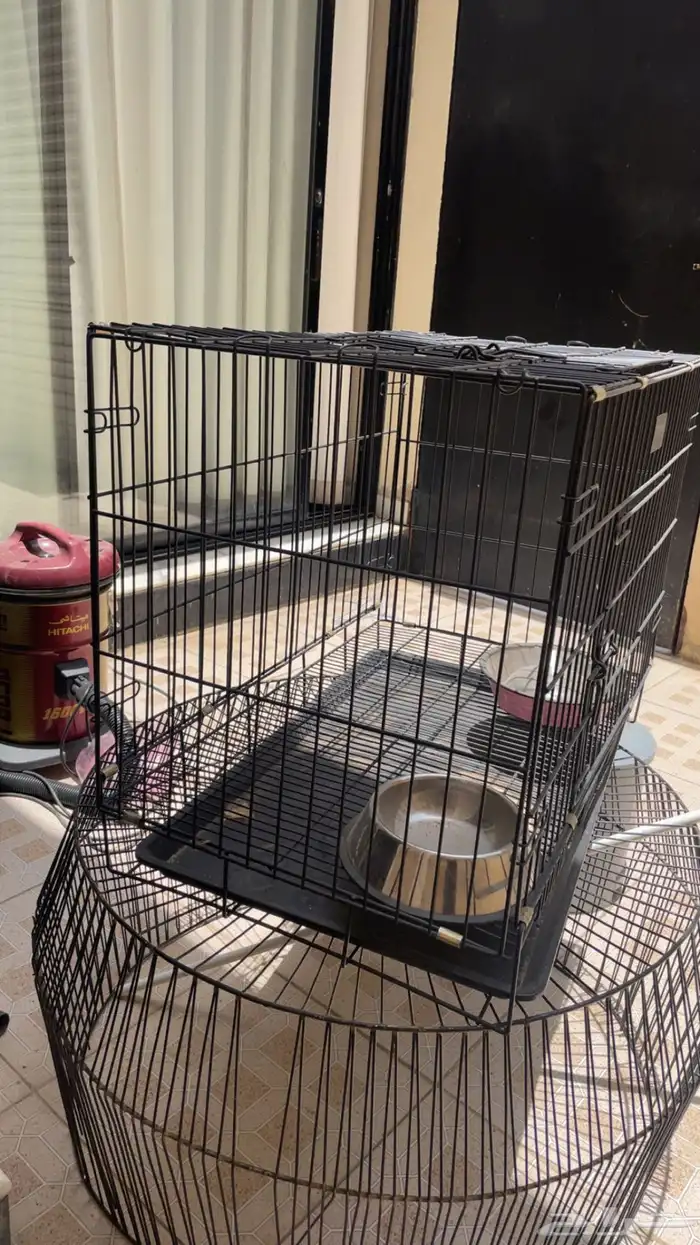 شبك حيوانات اليفه 4