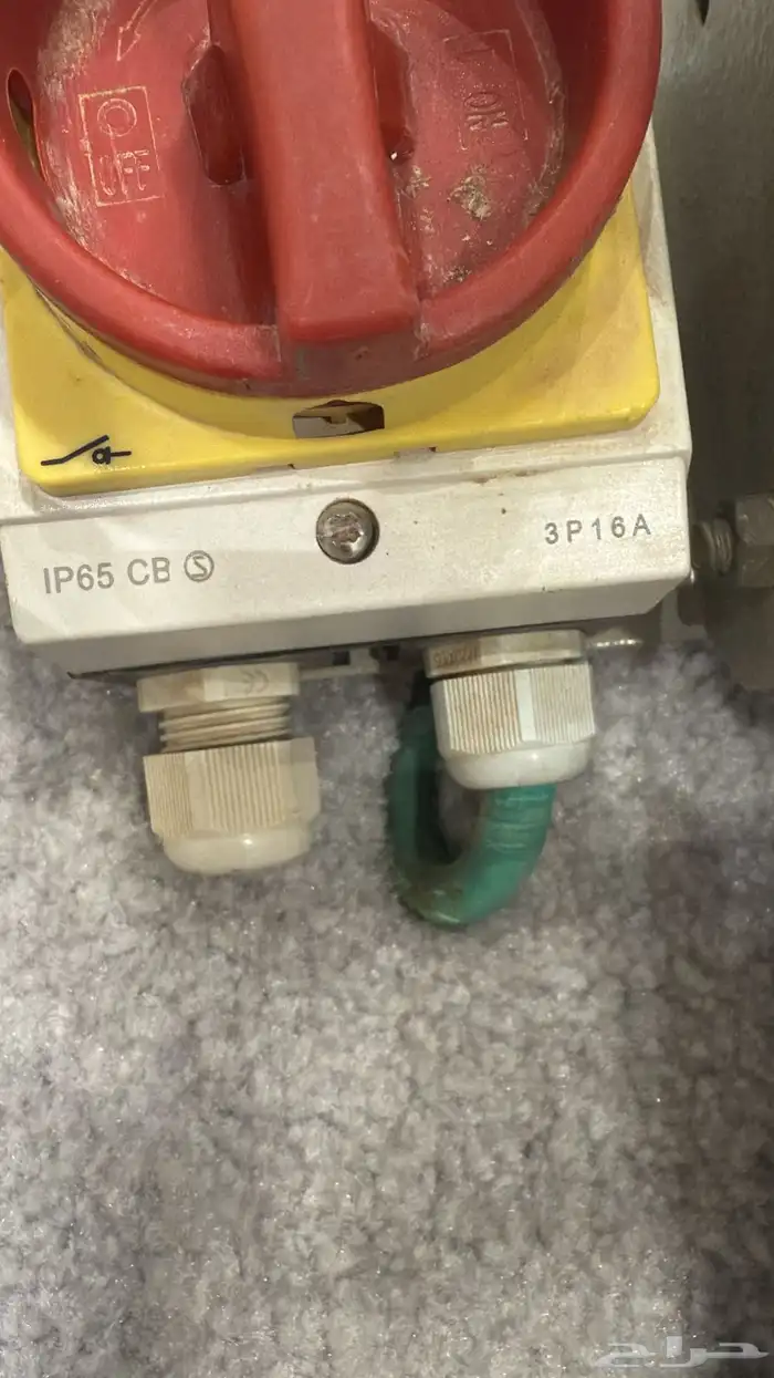 دنموات مع قير سبلة الدواجن 2