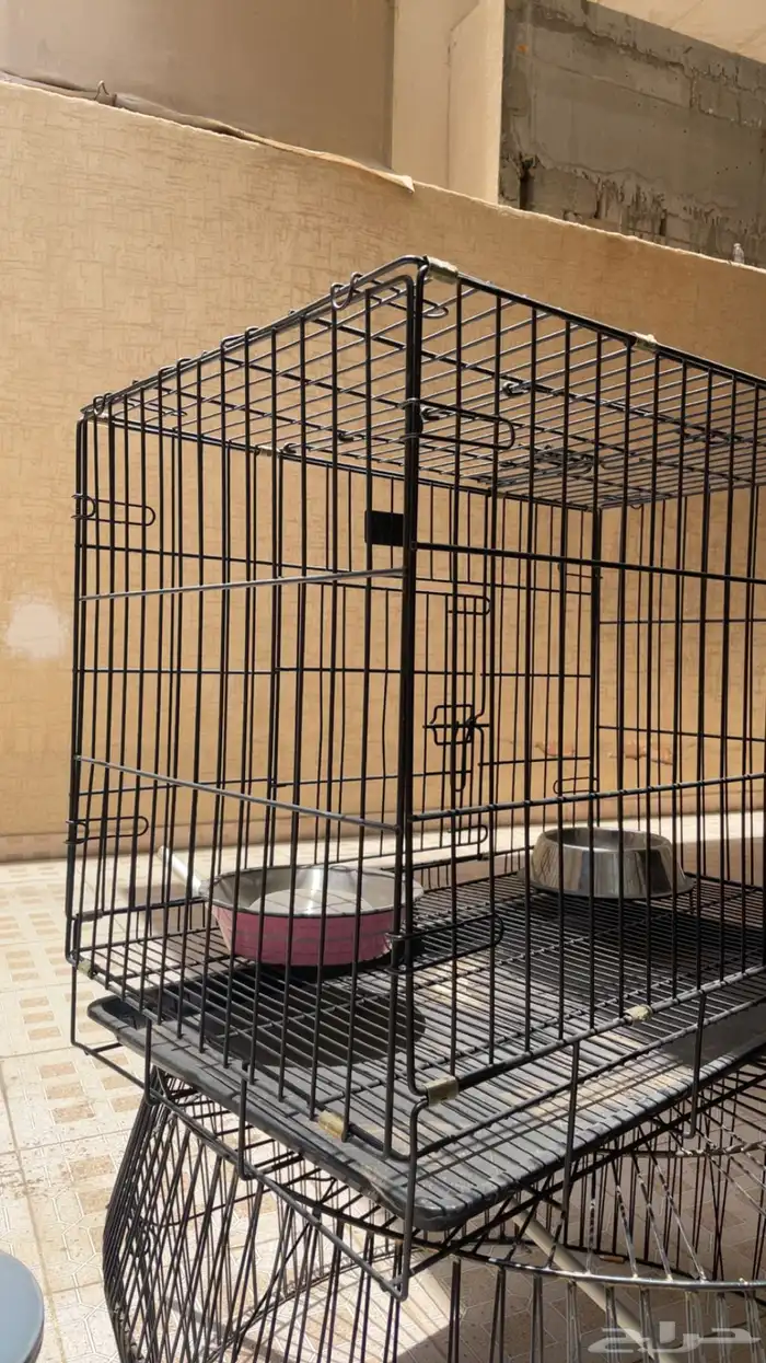 شبك حيوانات اليفه 5