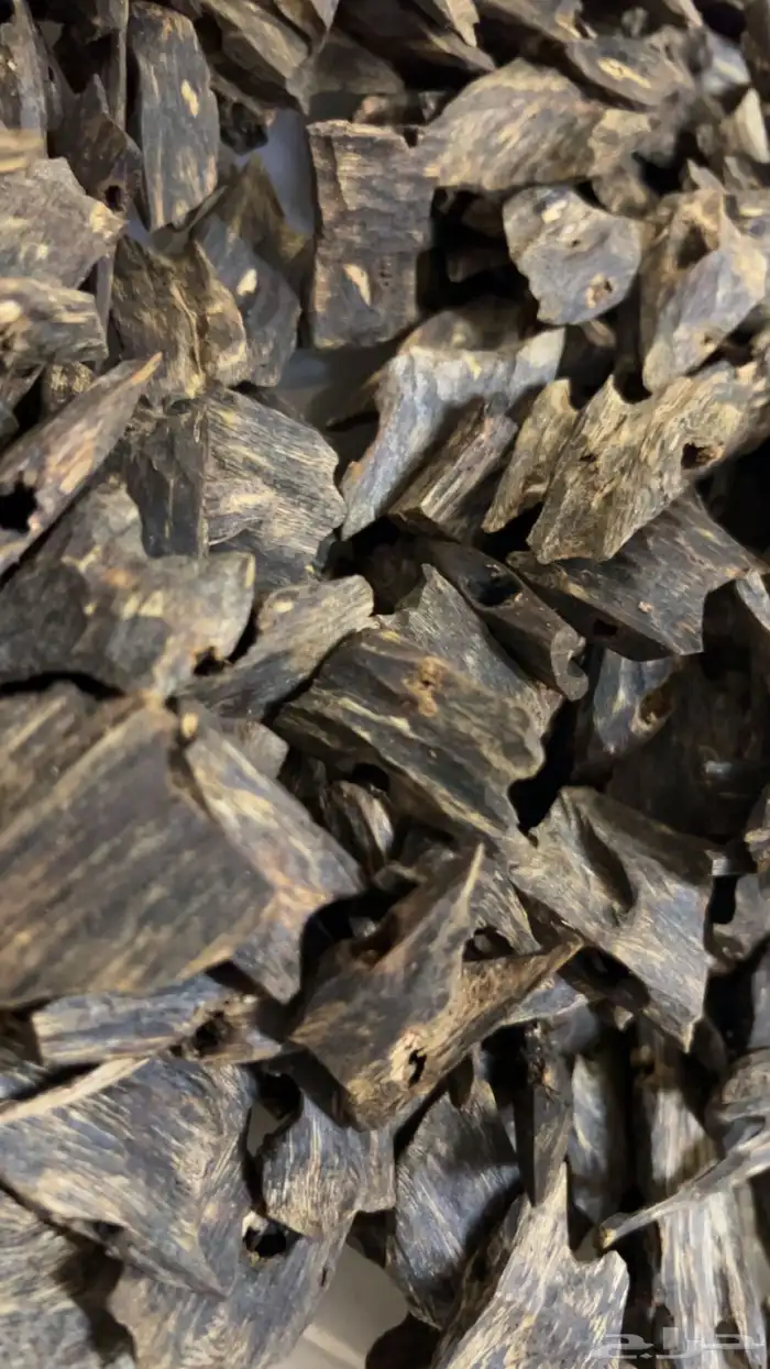 عود كينام اندرووتر مميز وفاخر بخور غطاس تحت الماء نوادر 1