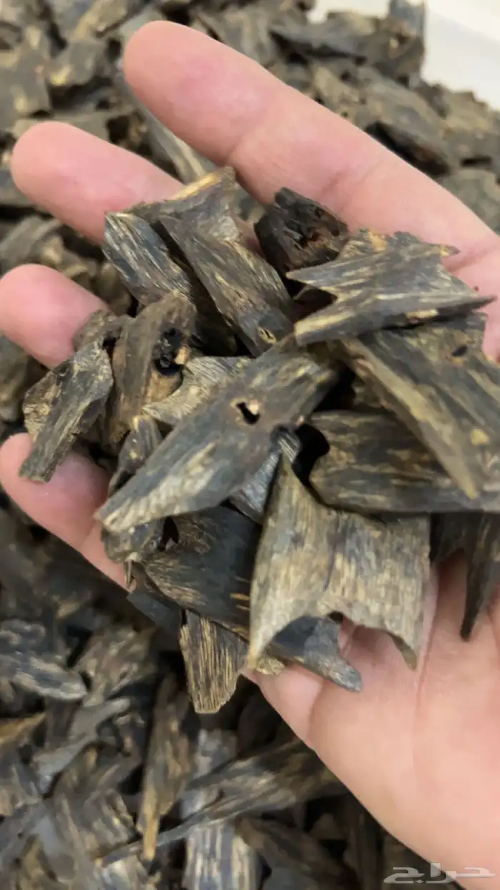 عود كينام اندرووتر مميز وفاخر بخور غطاس تحت الماء نوادر 2